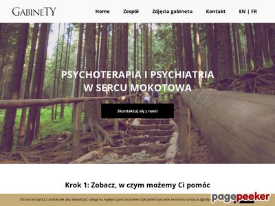 Psychoterapia Warszawa