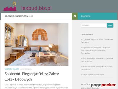 Osuszanie murów - lexbud.biz.pl