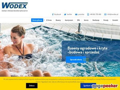 Wodex - czyszczenie basenu