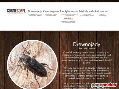 Www.corneco.pl Zwalczanie szkodników drewna